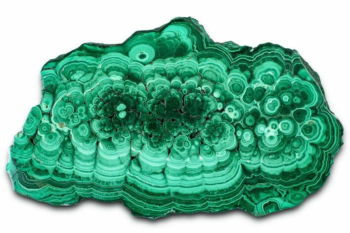 Flowery Polished Malachite Slab - DR Congo #360535
